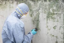 Best Airborne Mold Testing  in De Leon Springs, FL